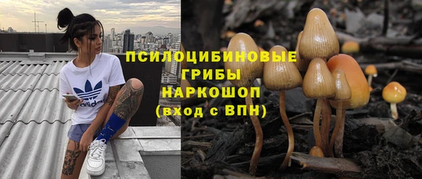 бутират Алзамай