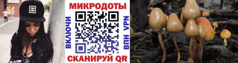 OMG   Бирюч  Псилоцибиновые грибы GOLDEN TEACHER 